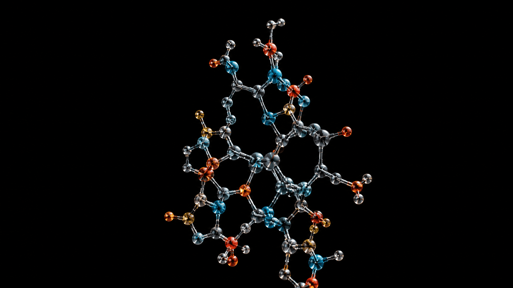 Structure & Function of Biomolecules