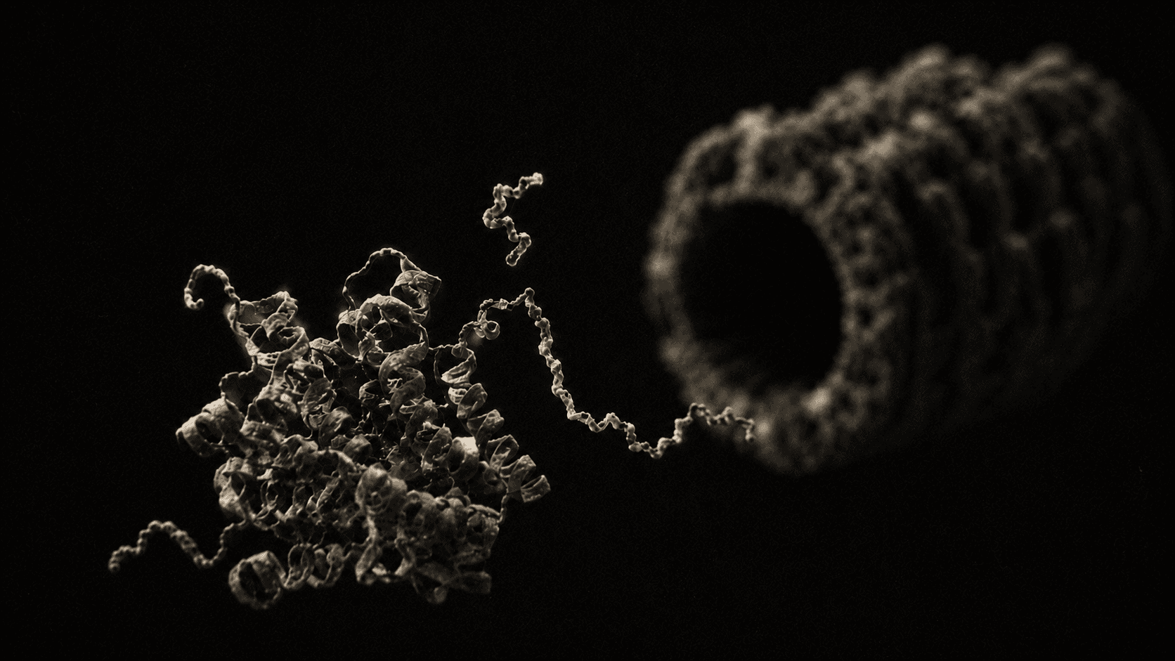 Fundamental Processes